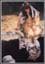 Agneta_w
